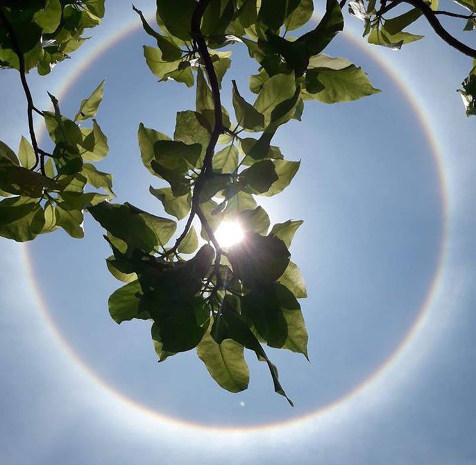 Thích thú với hiện tượng vầng hào quang bao quanh mặt trời ở Quảng Nam - Ảnh 2.