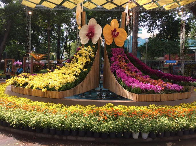 Festival Hoa lan TP HCM khai mạc, miễn phí cho khách tham quan - Ảnh 5.