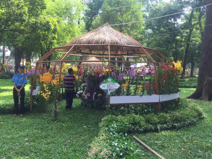 Festival Hoa lan TP HCM khai mạc, miễn phí cho khách tham quan - Ảnh 7.