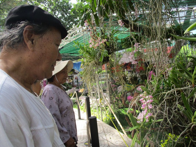 Festival Hoa lan TP HCM khai mạc, miễn phí cho khách tham quan - Ảnh 9.
