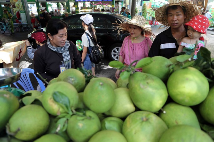 Đậm đà chất phương Nam tại lễ khai mạc Lễ hội trái cây Nam Bộ 2019 - Ảnh 12.