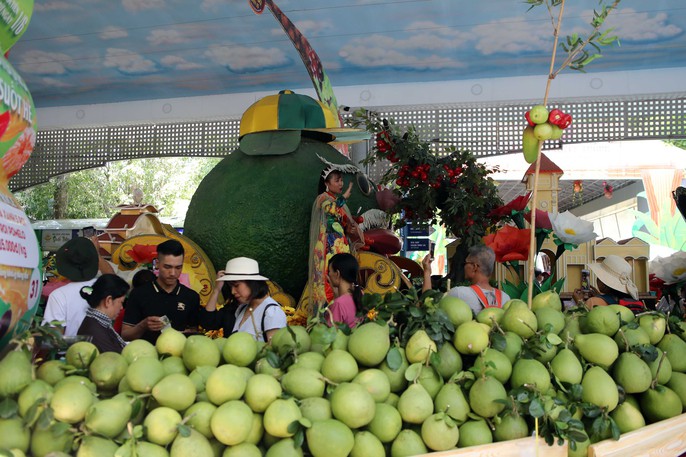 Đậm đà chất phương Nam tại lễ khai mạc Lễ hội trái cây Nam Bộ 2019 - Ảnh 11.