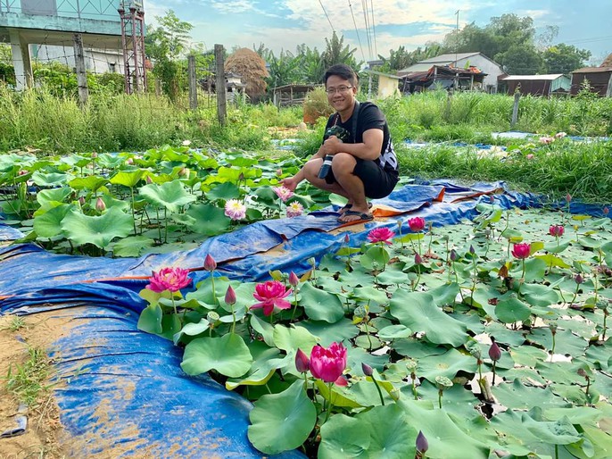 Độc và lạ về giống sen nở hàng trăm cánh tuyệt đẹp ở Quảng Nam - Ảnh 3. Độc và lạ về giống sen nở hàng trăm cánh tuyệt đẹp ở Quảng Nam - Ảnh 3.
