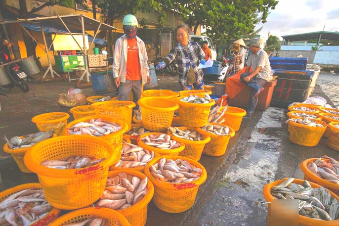 Mãn nhãn tại cảng cá lâu đời ở đảo ngọc Phú Quốc