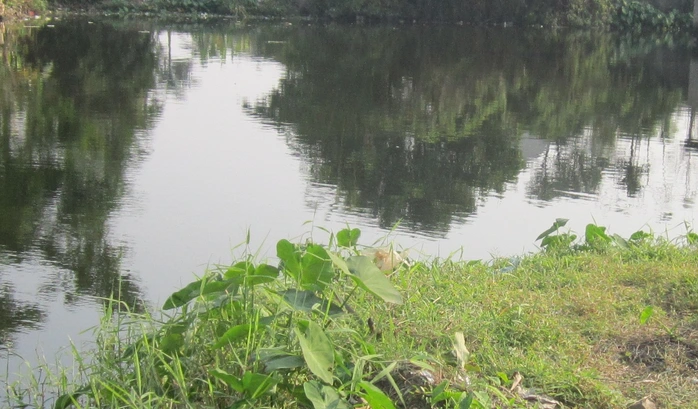 
	Hồ nước sâu nơi phát hiện anh Trần Văn Bình tử vong