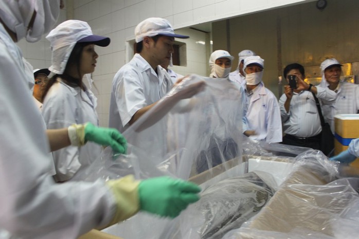 Cá ngừ đại dương được đóng gói để xuất khẩu sang Nhật Bản.