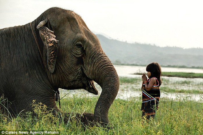 Kim Luan (right) plays with her pet elephant, which helps to transport goods and work the fields