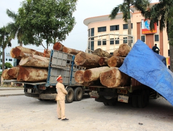 Hai xe gỗ bị CSGT Thanh Hóa bắt giữ ngày 14-12, vượt tải trọng 200%