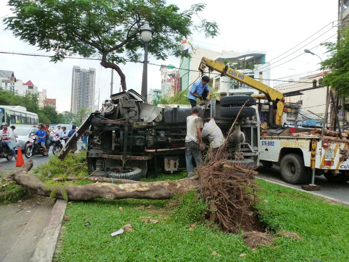 Cây xanh bật trơ gốc sau cú tông của xe ben