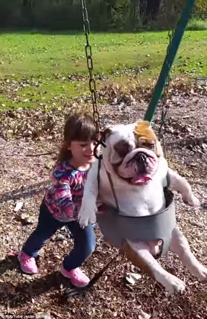 Playtime: Ozzy is still just a pup and turned one-year-old in October, so its fitting he went in the childs swing
