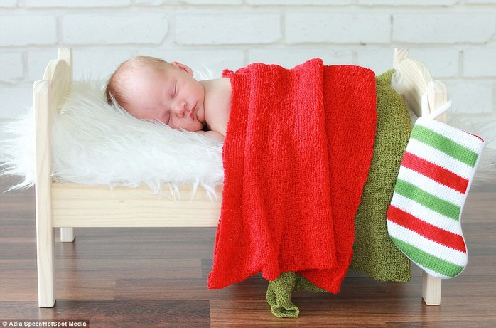 Sawyer, under two weeks old, rests in this Christmas themed bed