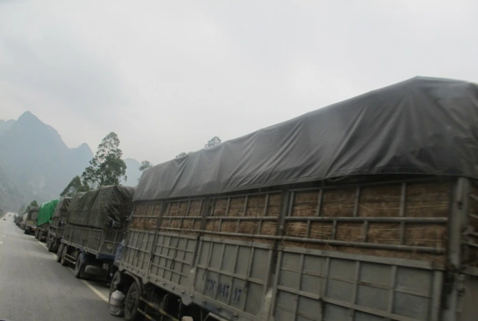Gần một trăm xe tải, container bị ùn tắc và bị buộc phải dừng xe ở huyện Hữu Lũng (Lạng Sơn), cách cửa khẩu Tân Thanh hơn 80 km
