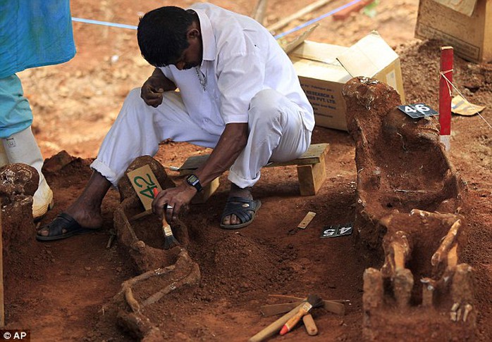 Ngôi mộ tập thể ở huyện Matale do các công nhân xây dựng phát hiện. Ảnh: AP