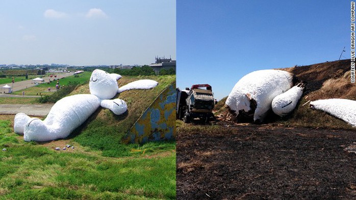 Chú thỏ trước và sau khi gặp hỏa hoạn. Ảnh: CNN