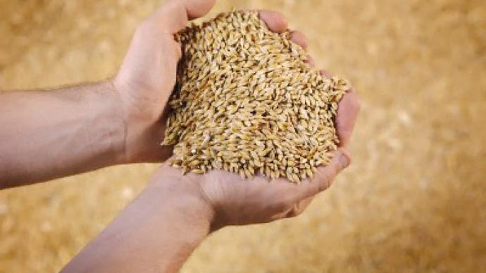 Russia opens up its grain market