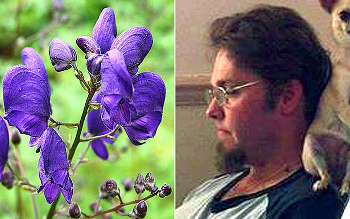 Nathan Greenaway, right, fell ill after handling the deadly flower known as Devil's Helmet, left