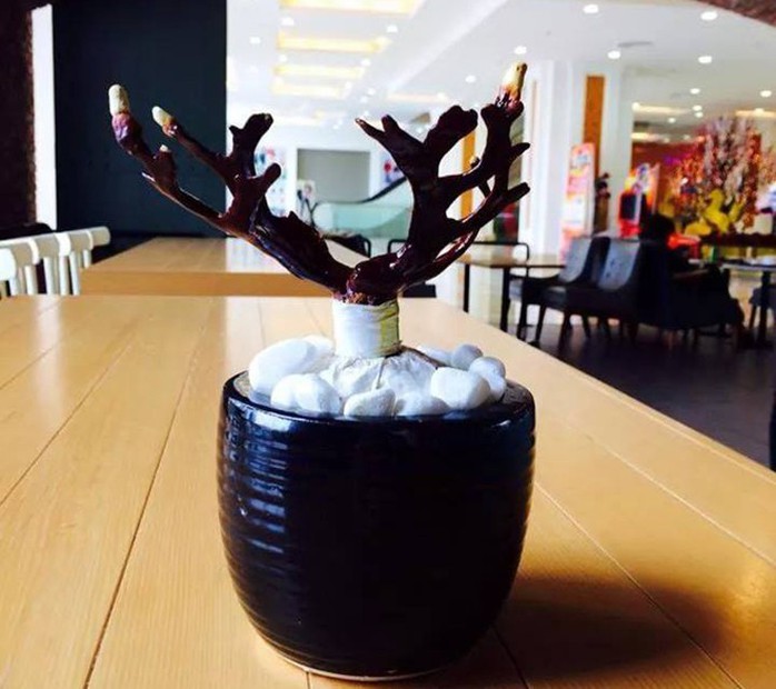 Mốt chơi nấm linh chi bon sai giá bạc triệu ở Hà Nội