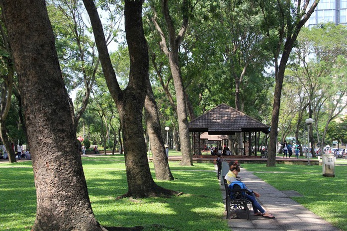 Ngoài số cổ thụ ở đường Tôn Đức Thắng, dự kiến năm 2015 sẽ có thêm 57 cây xanh đoạn từ Công viên 23-9 khu A đến chợ Bến Thành bị đốn hạ để khởi công nhà ga Metro trung tâm Bến Thành.