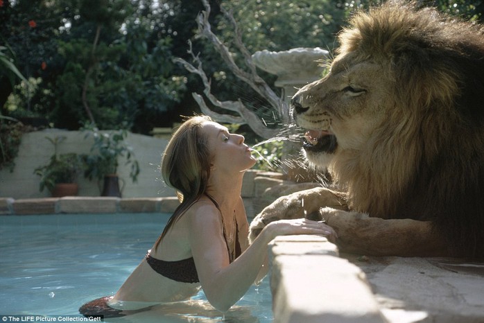 Tipi Hedren, mẹ của Melanie Griffith cũng thích vui đùa cùng Neil Tipi Hedren, mẹ của Melanie Griffith cũng thích vui đùa cùng Neil