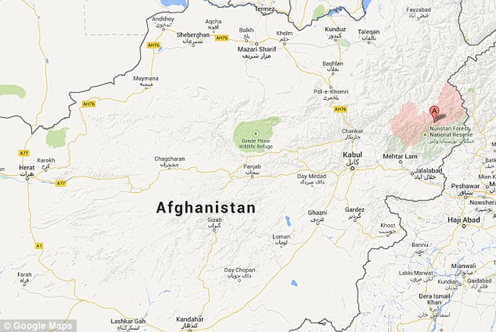 Hươu xạ hương được phát hiện tại Afghanistan