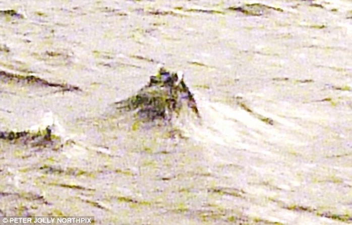 Hình ảnh sinh vật bí ẩn giữa hồ Loch Ness do Jonathan Bright công bố tuần trước