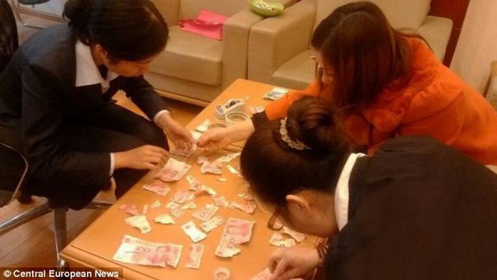 Gia đình cậu bé cố gắng ráp những mảnh tiền lại với nhau. Ảnh: Central European News