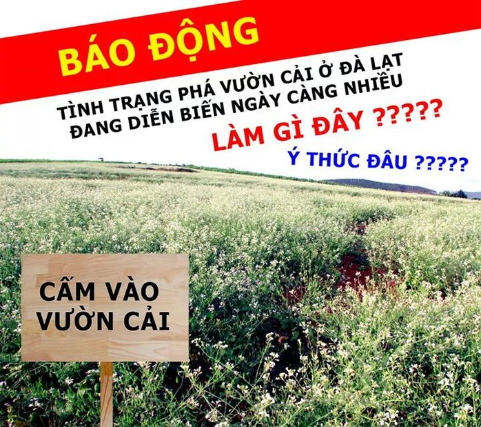 Ảnh được đăng trên facebook Đà Lạt Hunter