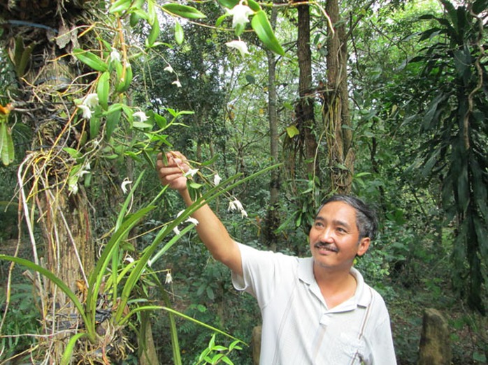 Anh Đỗ Tuấn Hưng bên khóm lan bạch câu.