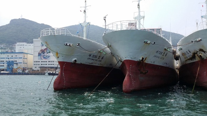 Các tàu do Công ty Đức Khải mua là tàu cũ, đã sử dụng khoảng hơn 10 năm. Nhưng công ty cho biết do là loại tàu hiện đại nên niên hạn sử dụng vẫn còn được từ 30 - 40 năm nữa.