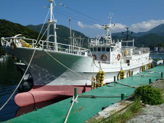 Trang thiết bị, công cụ, ngư cụ được mua thêm cho các tàu đánh bắt từ 2 - 4 tỉ đồng/chiếc.