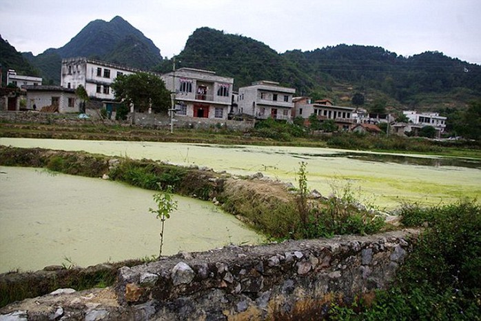 Người dân trồng trọt, nuôi cá trên vùng đất ô nhiễm