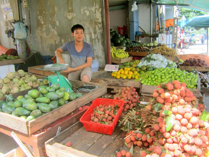 Vải thiều được nhiều người chọn mua nhưng vẫn rớt giá còn 15.000 – 20.000 đồng/kg Vải thiều được nhiều người chọn mua nhưng vẫn rớt giá còn 15.000 – 20.000 đồng/kg