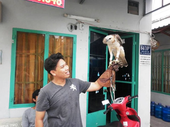 Có người còn chơi cả đại bàng, vẹt Nam Mỹ có giá trị lên tới vài ngàn USD Có người còn chơi cả đại bàng, vẹt Nam Mỹ có giá trị lên tới vài ngàn USD