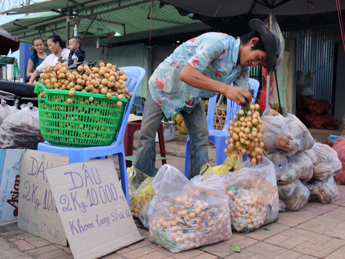 Dâu bòn bon miền Tây rớt giá, thương lái ngoài việc bỏ sỉ còn bán lẻ với giá 5.000 đồng/kg. Dâu bòn bon miền Tây rớt giá, thương lái ngoài việc bỏ sỉ còn bán lẻ với giá 5.000 đồng/kg.