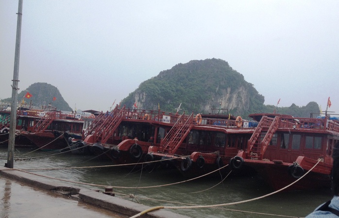Tàu thuyền neo đậu tại nơi tránh trú bão ở Vân Đồn, Quảng Ninh