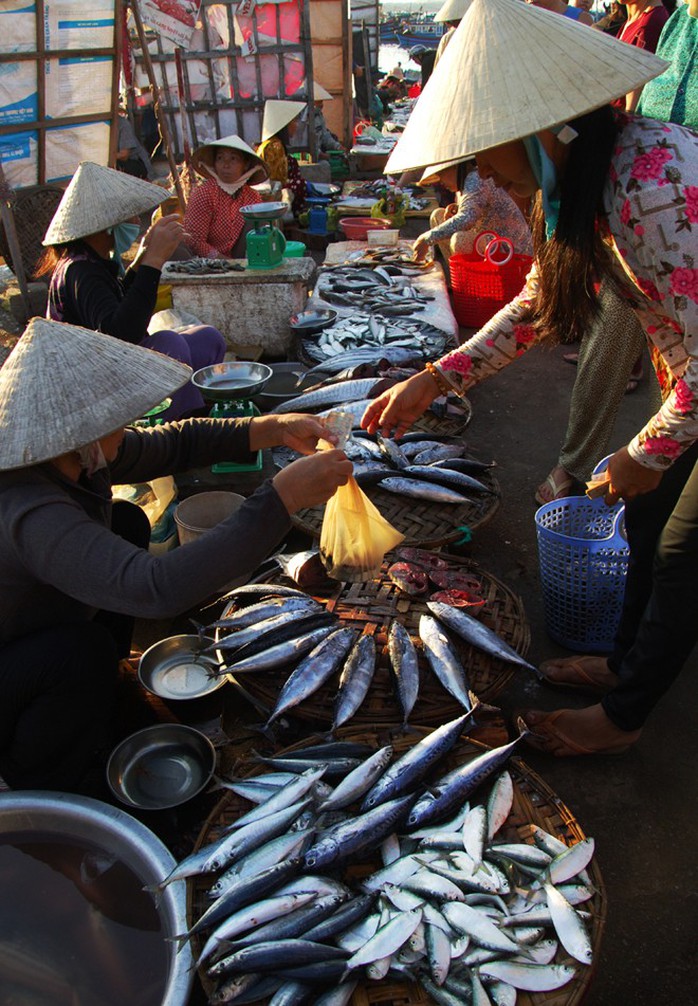 Người mua tha hồ chọn lựa những loại thủy hải sản vừa bắt lên. Các mặt hàng này không chỉ có giá rẻ, mà còn tươi ngon do mới đánh bắt về. Người mua tha hồ chọn lựa những loại thủy hải sản vừa bắt lên. Các mặt hàng này không chỉ có giá rẻ, mà còn tươi ngon do mới đánh bắt về.