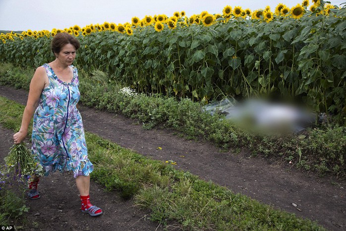 Một phụ nữ đi qua thi thể một hành khách rơi xuống gần ngôi làng Rozsypne - Ukraine.