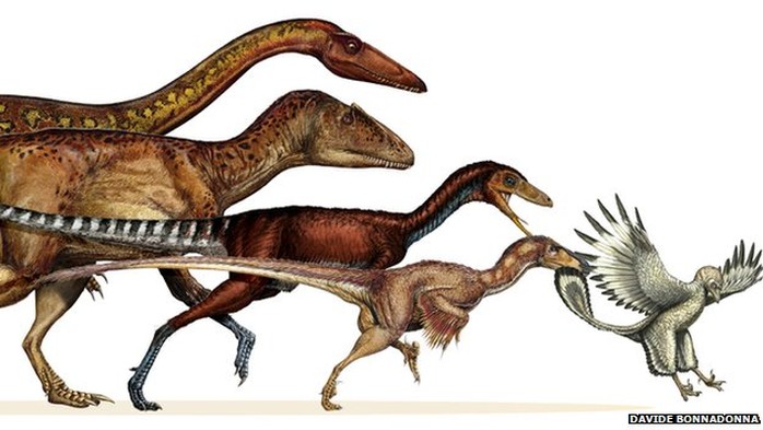 Theropods – loài khủng long ăn thịt khổng lồ đã tiến hóa thành loài chim ngày nay