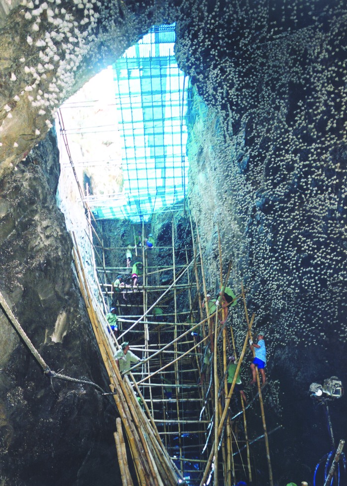 Khai thác yến đảo thiên nhiên tại hang yến ở Khánh Hòa