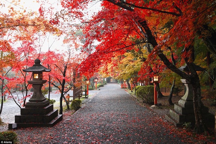 Kyoto - Nhật Bản.