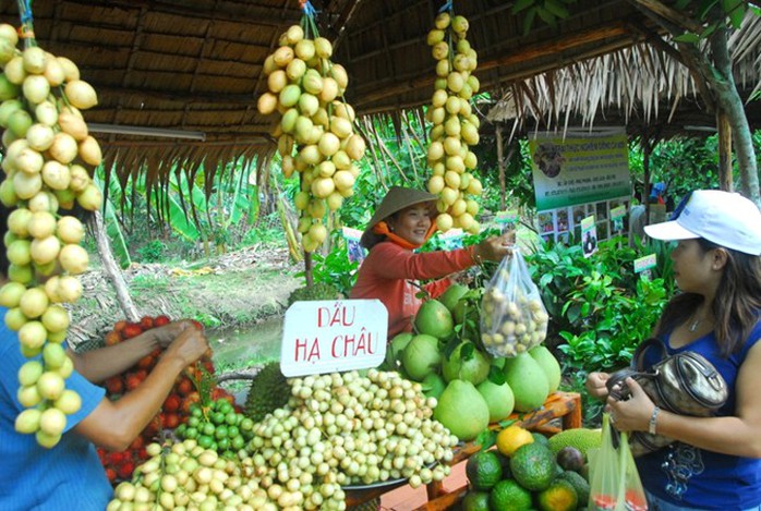 Vào thời điểm này, dâu được bày bán dọc theo các con đường ở Cần Thơ cũng như các tỉnh lân cận, đây cũng là loại trái cây được khách mua nhiều nhất mùa này. Vào thời điểm này, dâu được bày bán dọc theo các con đường ở Cần Thơ cũng như các tỉnh lân cận, đây cũng là loại trái cây được khách mua nhiều nhất mùa này.