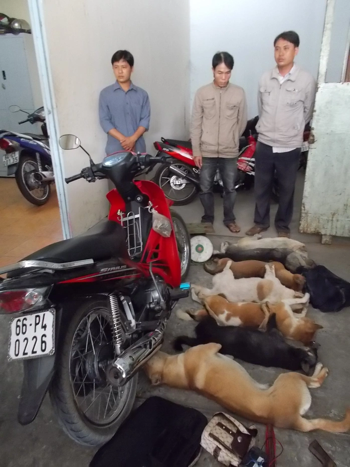 Phạm Quang Thịnh (trái) cùng 2 đối tượng trộm chó, tang vật trộm chó và những chú chó sắp bị mổ thịt.