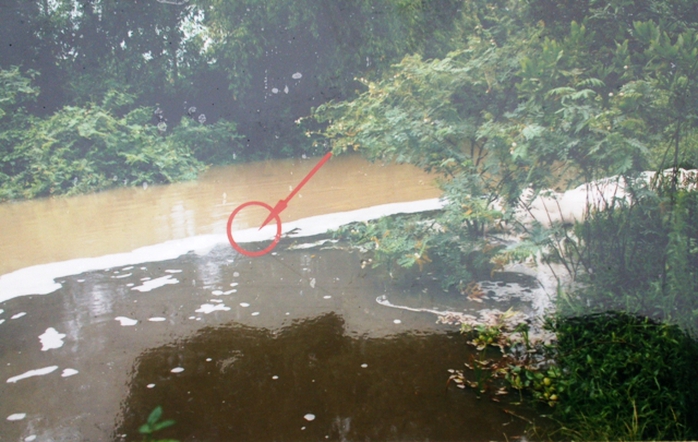 Hình ảnh nguồn nước chưa qua xử lý trại của trại heo gây ô nhiễm đổ thẳng ra dòng Hón Măng được ông Trịnh Trọng Bảy ghi chụp lại