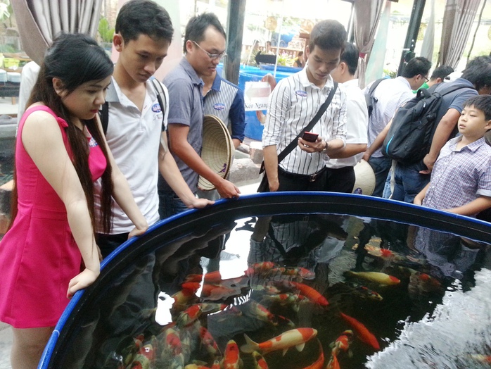 Nhiều người chơi cá kiểng đến CLB Ruby Koi Farm ở đường Phùng Khắc Khoan, quận 1 – TP HCM, nghe kinh nghiệm nuôi cá Koi.