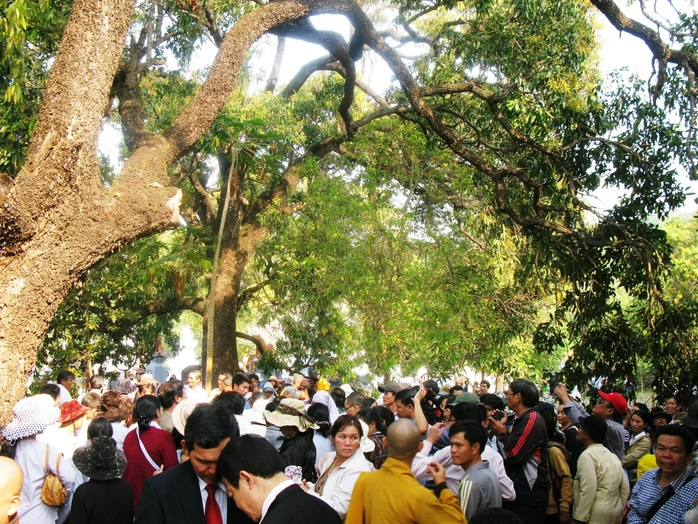 Hàng ngàn người đến chùa Từ Quang xem xoài Đá Trắng.