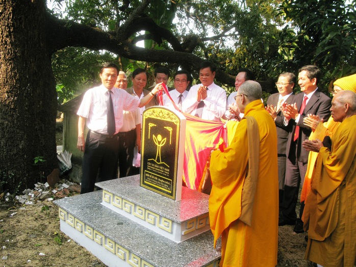 Lãnh đạo tỉnh và Ban trị sự giáo hội Phật giáo tỉnh Phú Yên dựng bia công nhận Cụm cây di sản xoài Đá Trắng