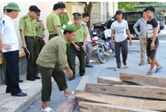 Số gỗ giáng hương (nhóm 1) liên quan đến vụ việc Lê Đức Hải nhận hối lộ 100 triệu đồng