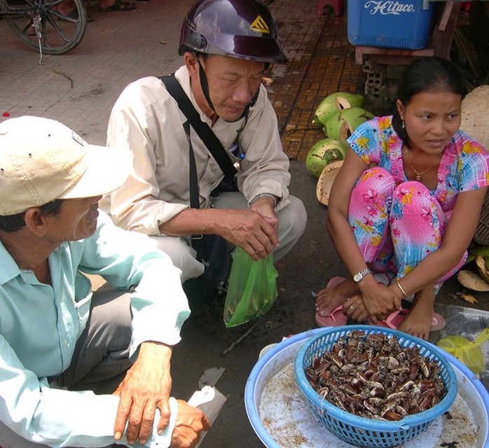 Sau khi bắt, bọ rầy sẽ được đưa về chợ Tịnh Biên bán sỉ và cả bán lẻ. Ảnh: Ngọc Trinh. Sau khi bắt, bọ rầy sẽ được đưa về chợ Tịnh Biên bán sỉ và cả bán lẻ. Ảnh: Ngọc Trinh.