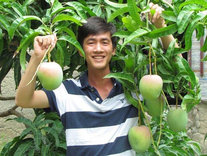 Nhà vườn trồng xoài Úc có thể thu lãi hàng trăm triệu đồng trên mỗi hecta Nhà vườn trồng xoài Úc có thể thu lãi hàng trăm triệu đồng trên mỗi hecta