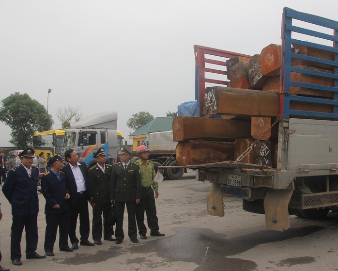 Ông Nguyễn Hồng Kỳ, Giám đốc Sở GTVT Nghệ An (thứ 3 từ trái qua phải) trực tiếp chỉ đạo việc xử lý các xe quá tải vào sáng 14-11.